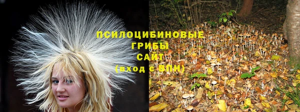 бутират Беломорск